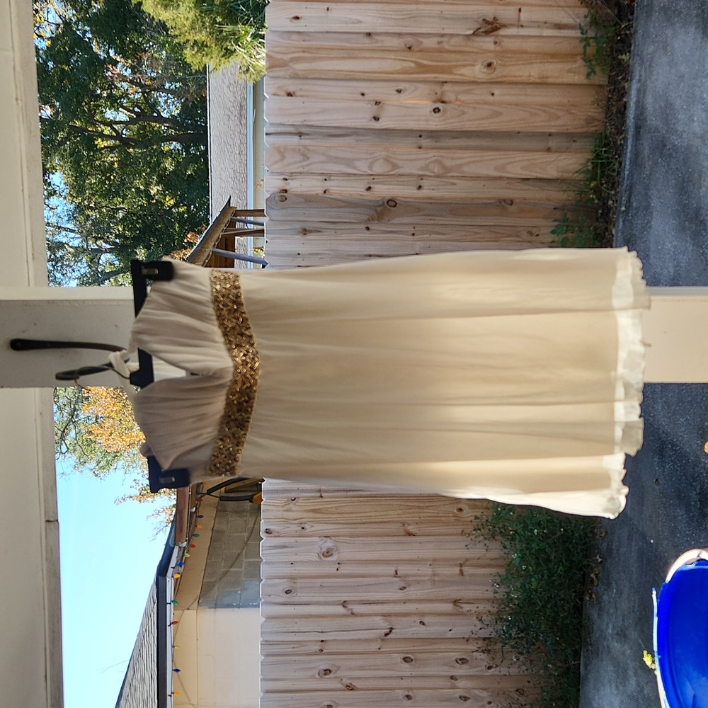 Haulter dress